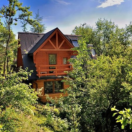 Domki Mroz Zakopane Bagian luar foto