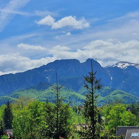 Domki Mroz Zakopane Bagian luar foto