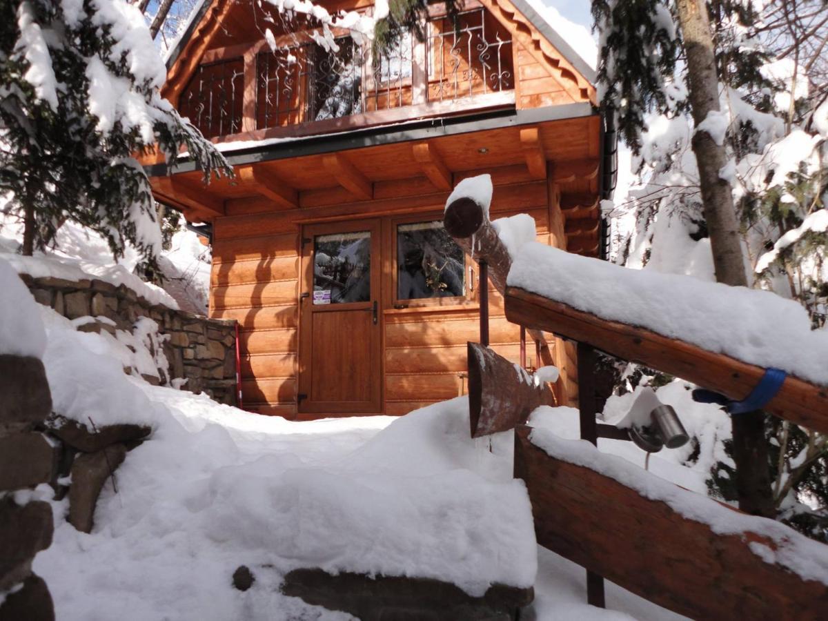 Domki Mroz Zakopane Bagian luar foto