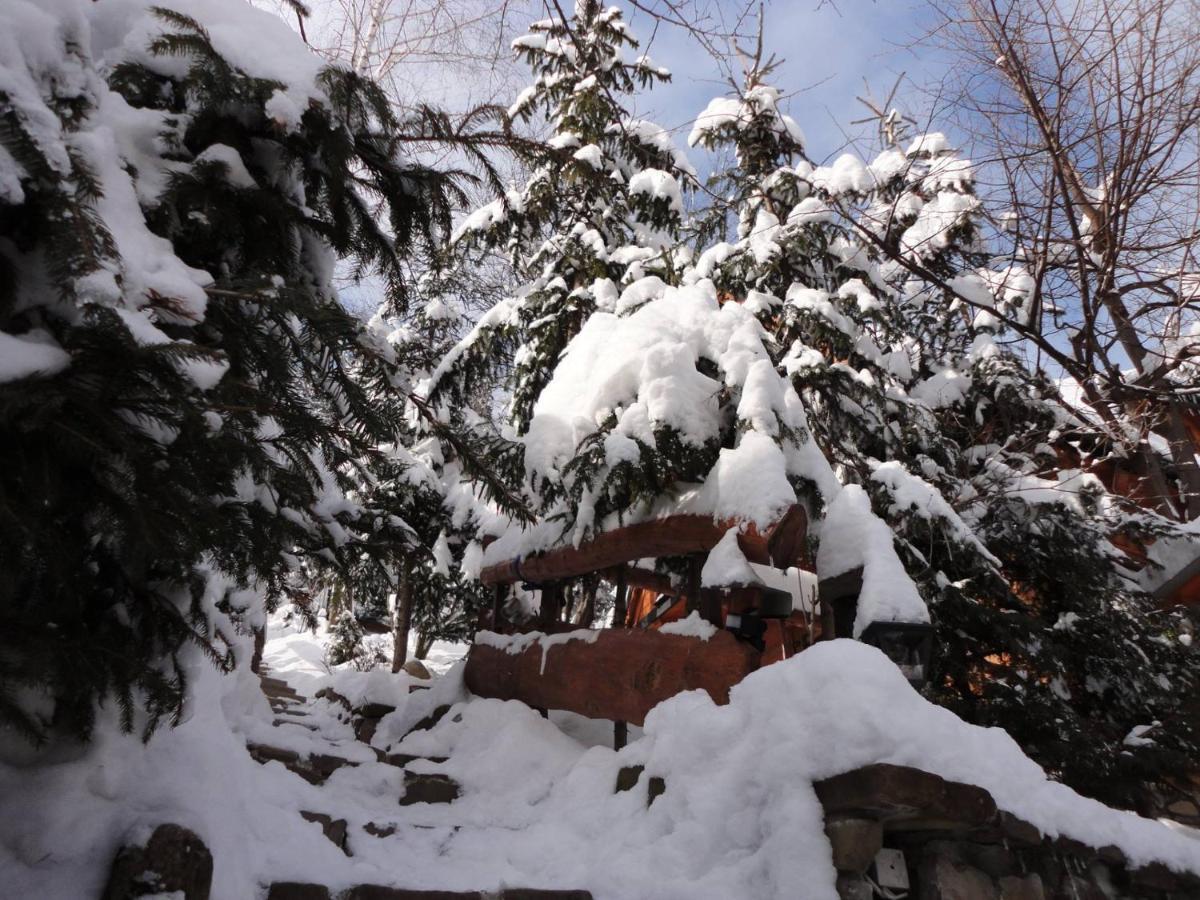 Domki Mroz Zakopane Bagian luar foto