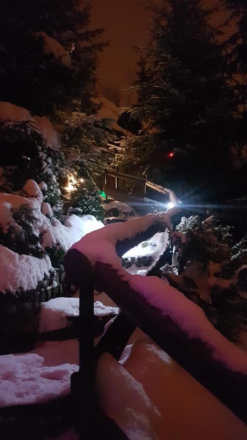 Domki Mroz Zakopane Bagian luar foto