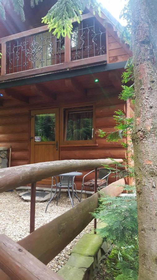 Domki Mroz Zakopane Bagian luar foto