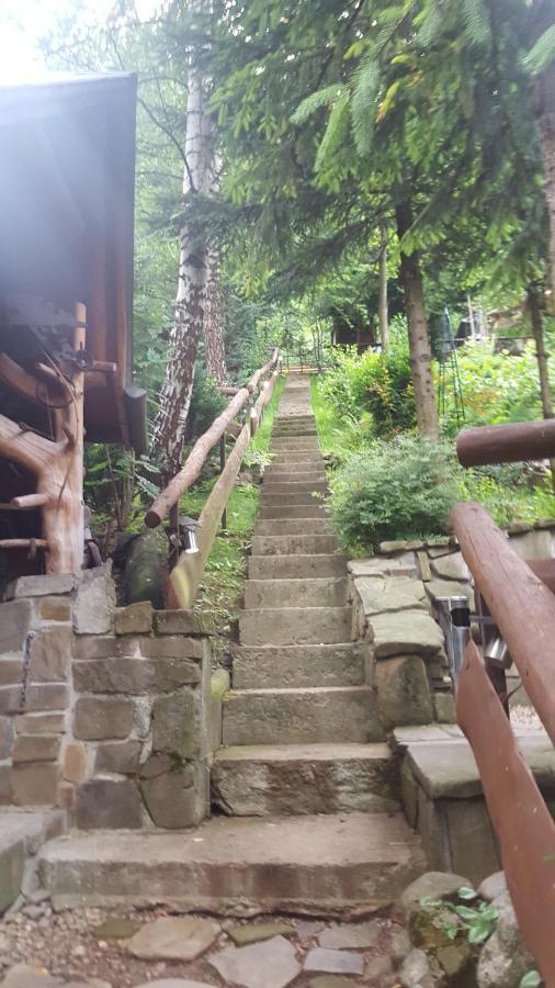 Domki Mroz Zakopane Bagian luar foto