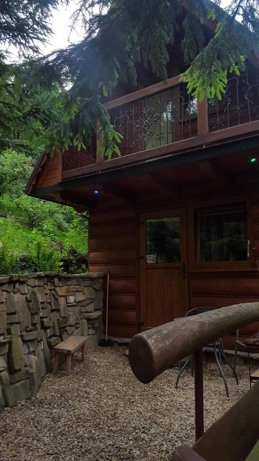 Domki Mroz Zakopane Bagian luar foto