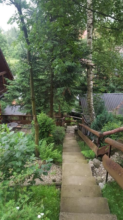 Domki Mroz Zakopane Bagian luar foto