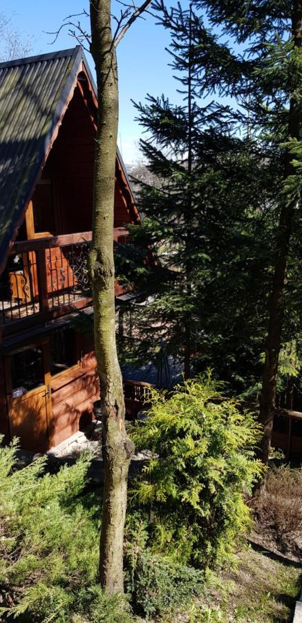 Domki Mroz Zakopane Bagian luar foto