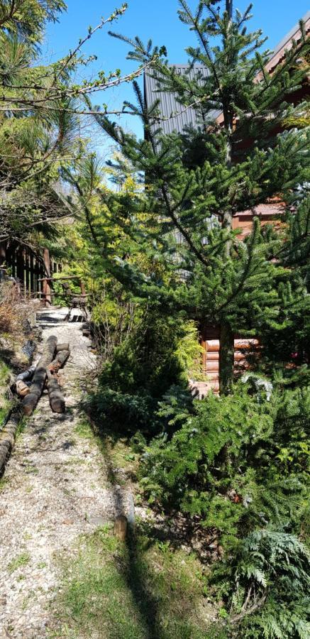 Domki Mroz Zakopane Bagian luar foto