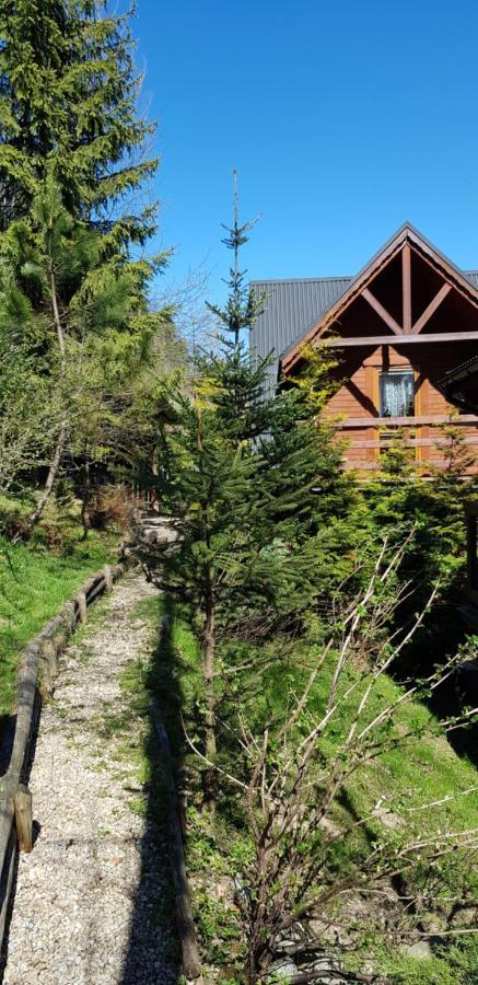 Domki Mroz Zakopane Bagian luar foto