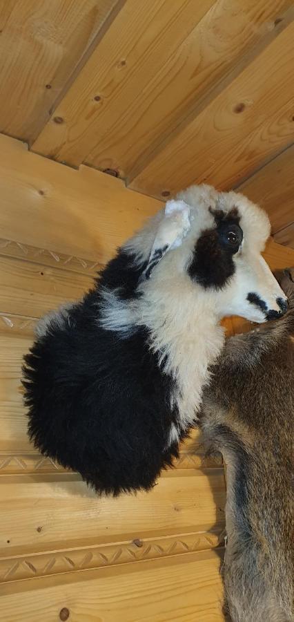 Domki Mroz Zakopane Bagian luar foto