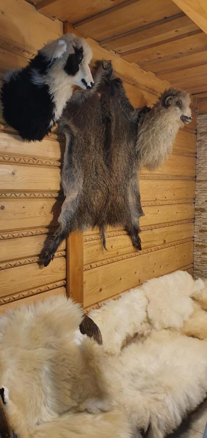 Domki Mroz Zakopane Bagian luar foto