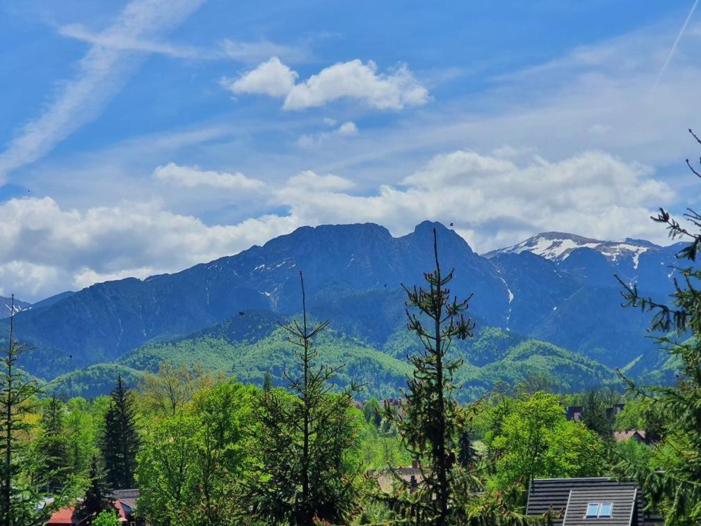 Domki Mroz Zakopane Bagian luar foto